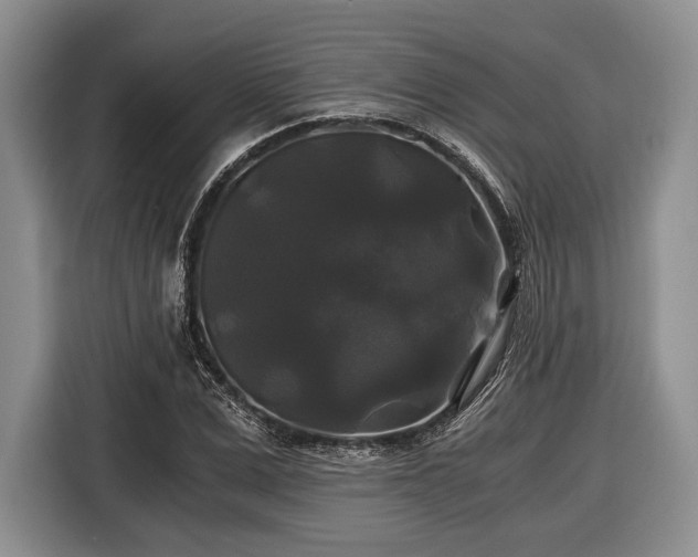 X0000116440975200912151237