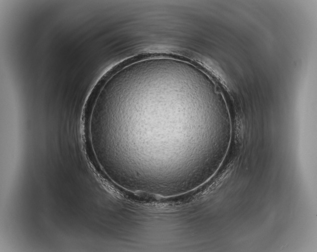 X0000116440976200912151237