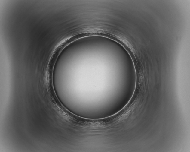 X0000116440979200912151237