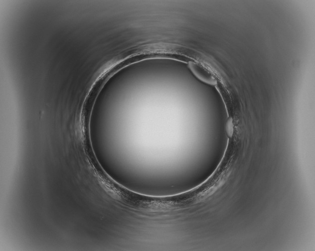 X0000116440981200912151237