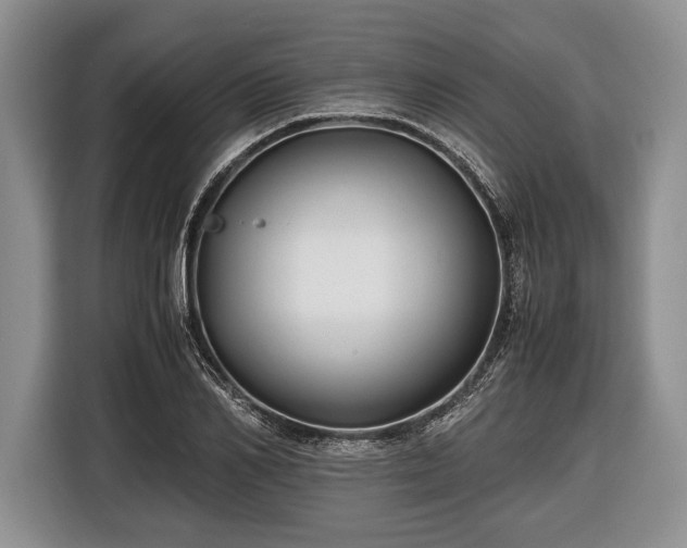 X0000116440982200912151236