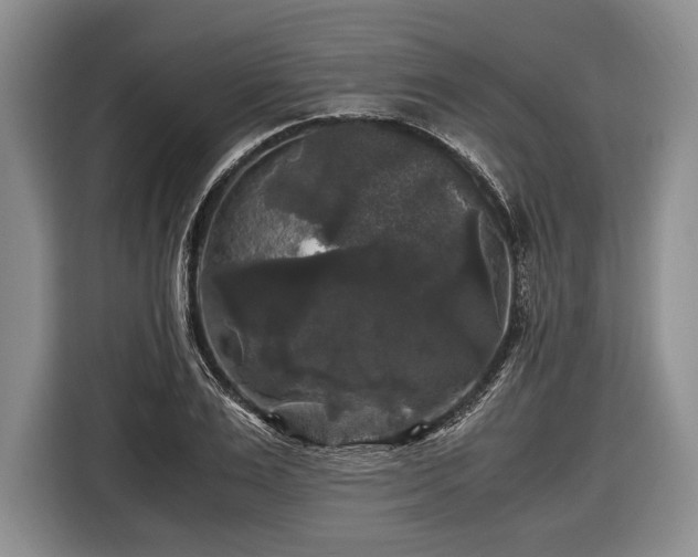 X0000116440983200912151236