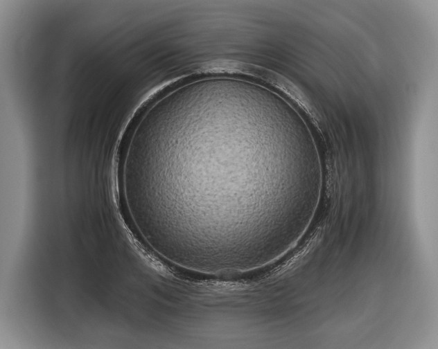 X0000116440984200912151236