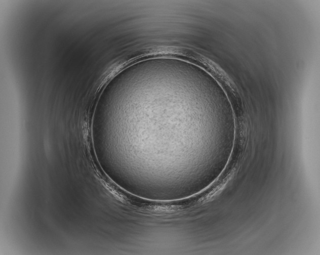 X0000116440985200912151236