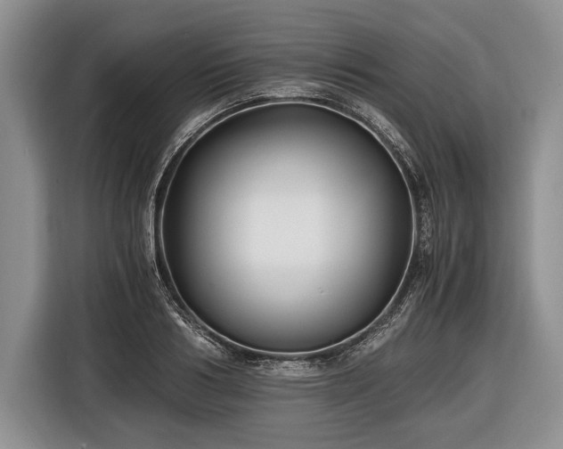 X0000116440986200912151236