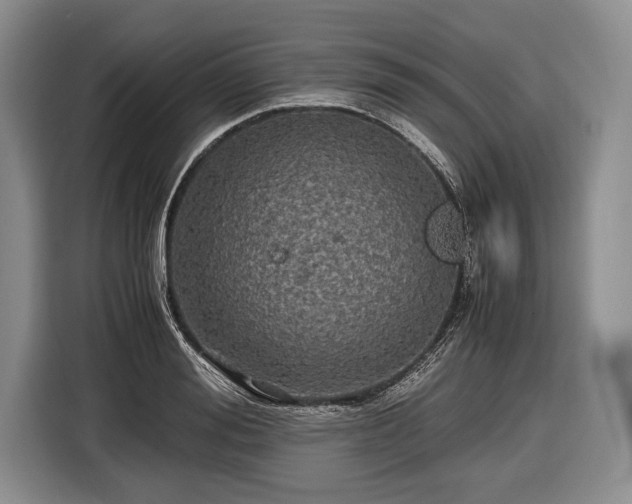 X0000116440988200912151236