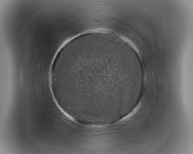 X0000116440989200912151236