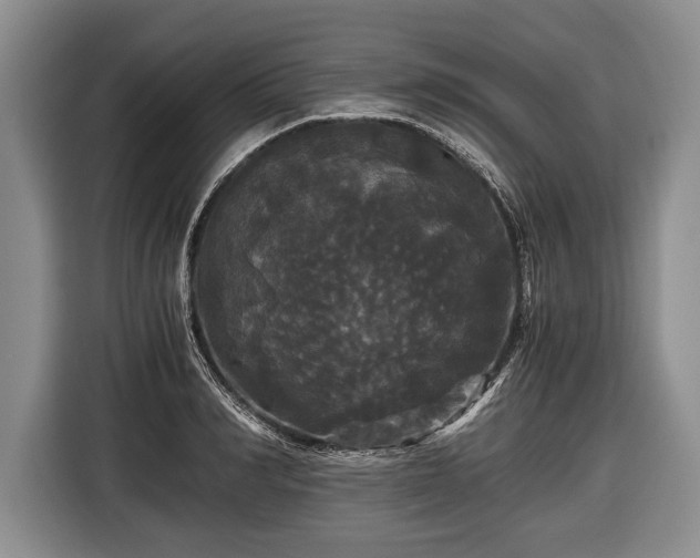 X0000116440990200912151236