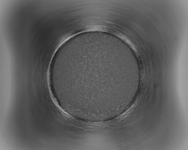 X0000116440991200912151236