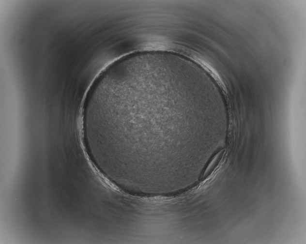 X0000116440992200912151236