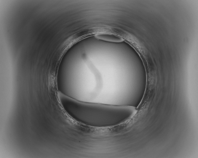 X0000116440993200912151236