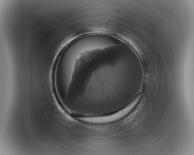 X0000116440995200912151236