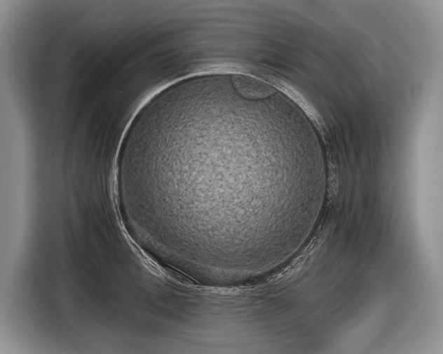 X0000116440996200912151236