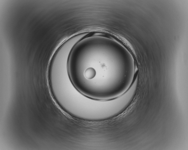 X0000116440997200912151236