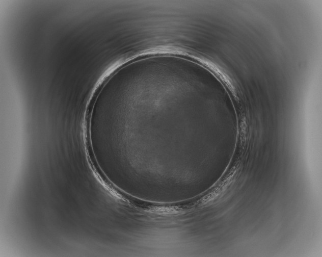 X0000116440998200912151236