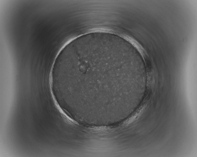 X0000116440999200912151236