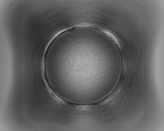 X0000116441000200912151236