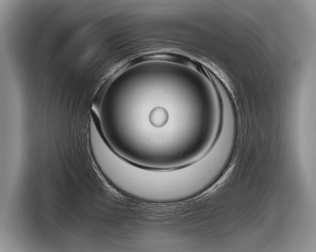 X0000116441001200912151236