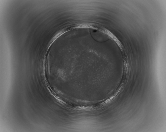 X0000116441002200912151236