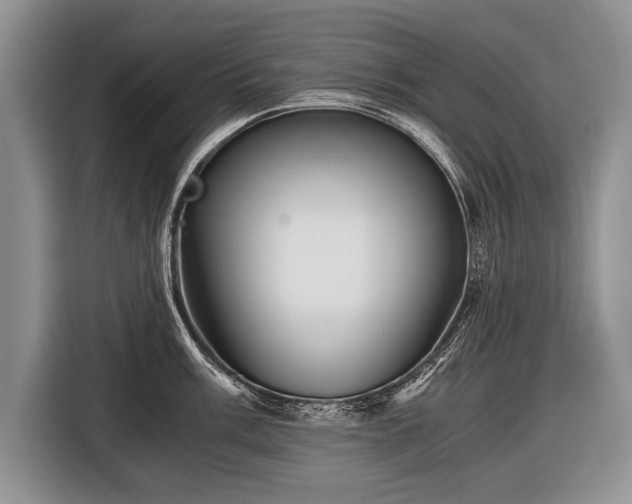 X0000116441003200912151236