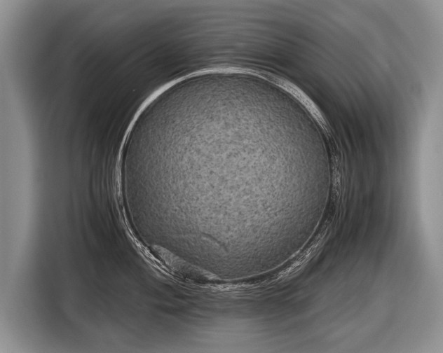 X0000116441004200912151236