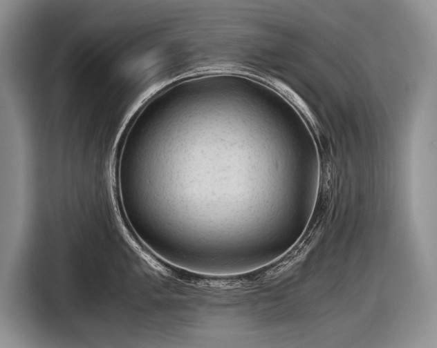 X0000116441005200912151236