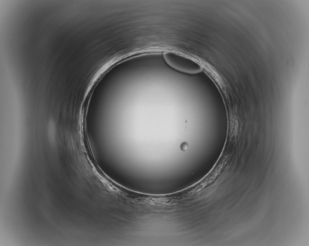 X0000116441006200912151236