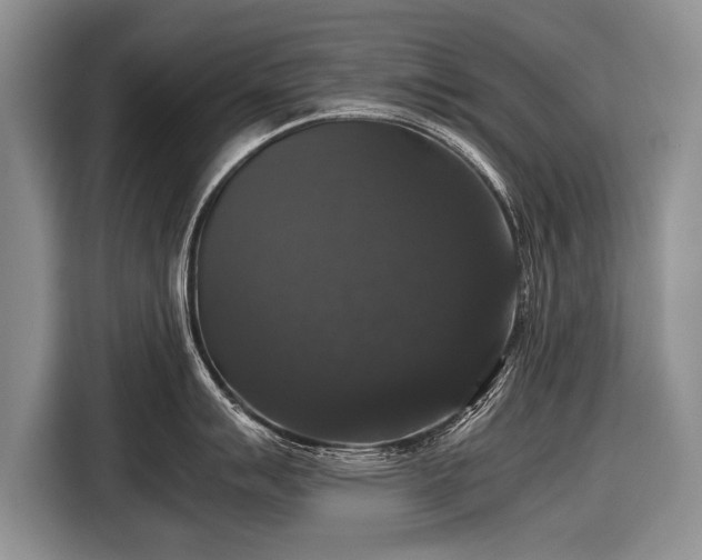 X0000116441007200912151236