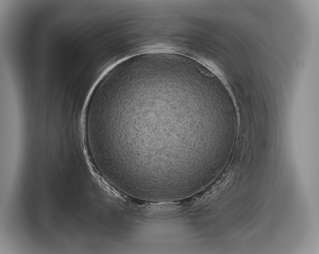 X0000116441008200912151236