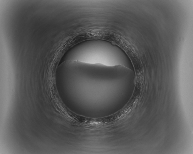 X0000116441009200912151236
