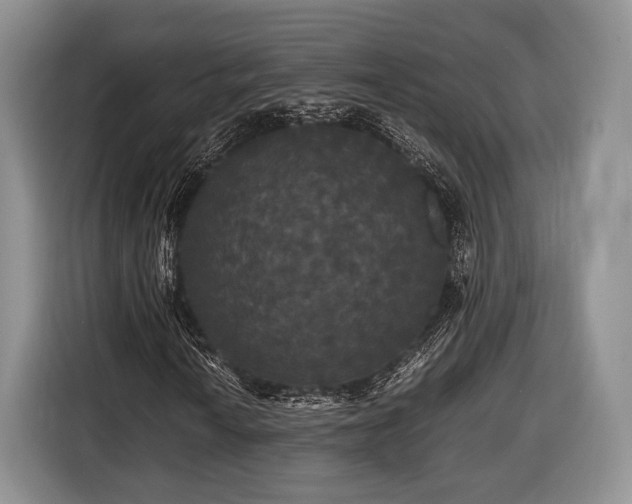 X0000116441010200912151236