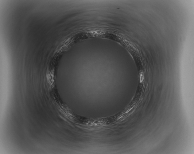 X0000116441011200912151236