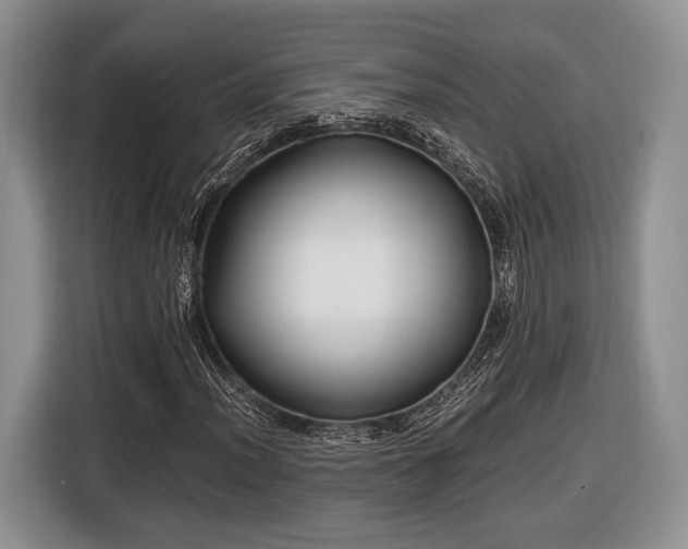 X0000116441012200912151236