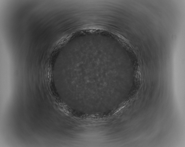 X0000116441014200912151236