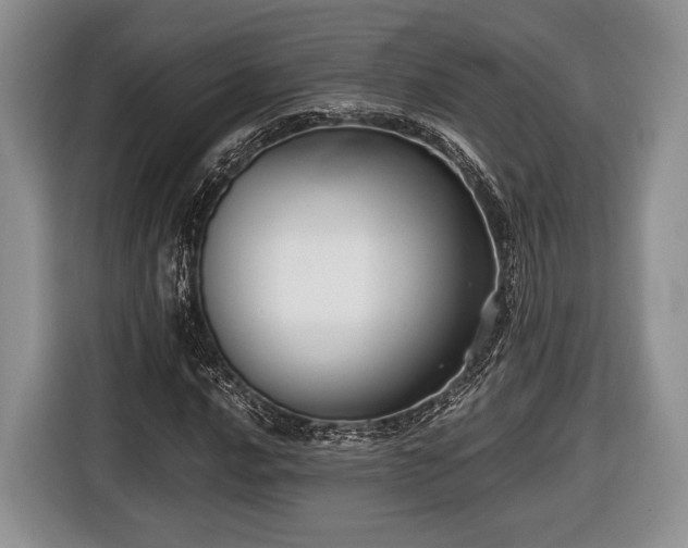 X0000116441016200912151236