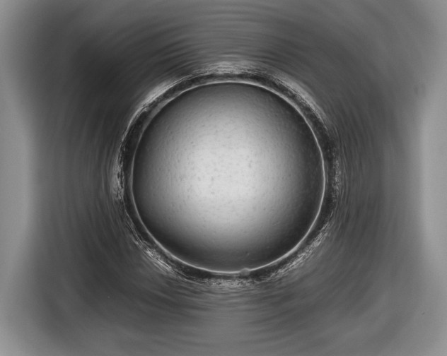 X0000116441018200912151236