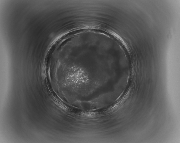 X0000116441019200912151236