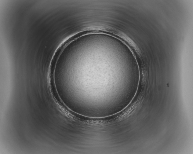 X0000116441020200912151236