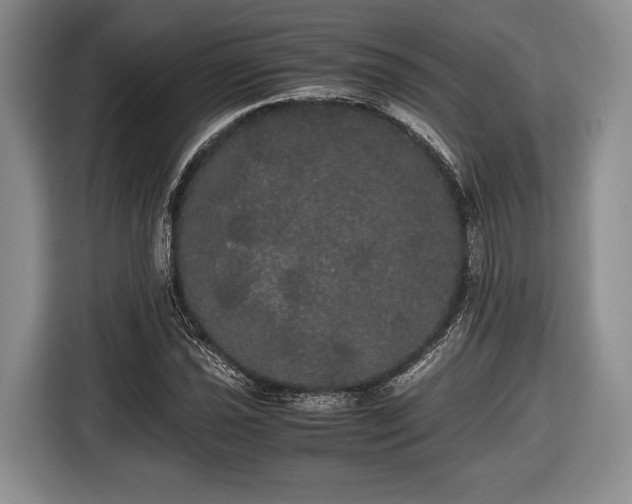 X0000116441021200912151236