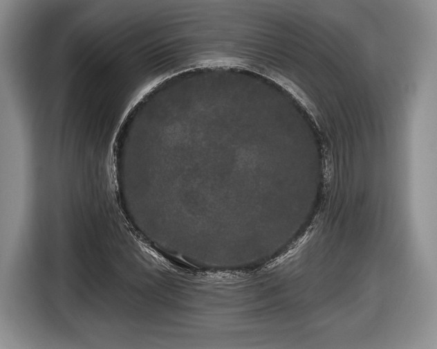 X0000116441022200912151236