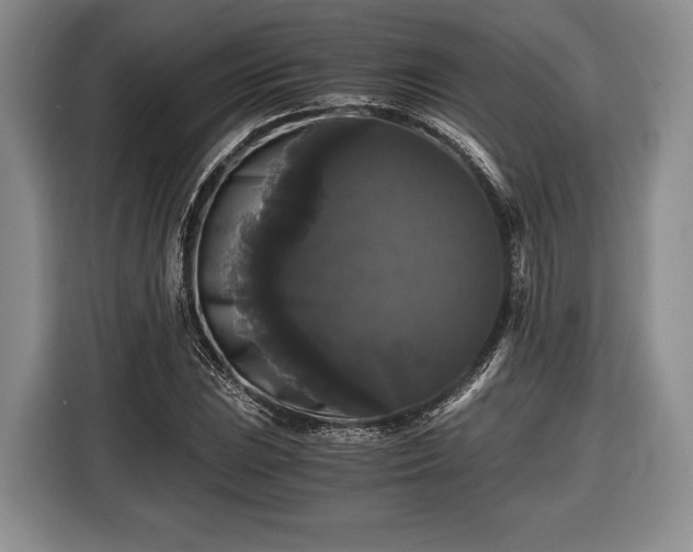 X0000116441023200912151236