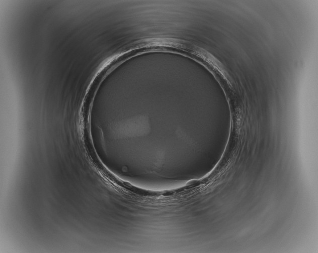X0000116441024200912151236