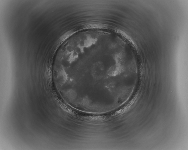X0000116441025200912151236