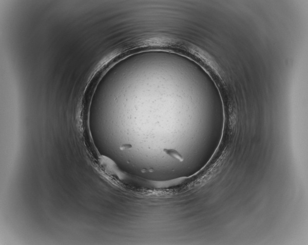 X0000116441026200912151236