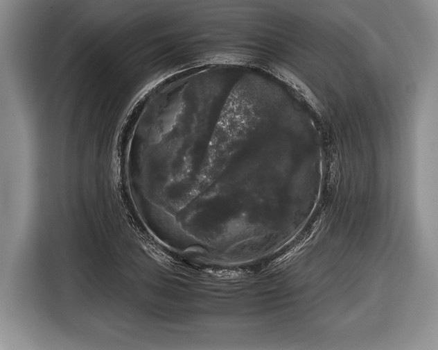 X0000116441027200912151236