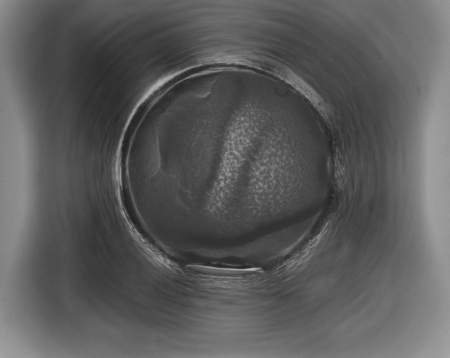 X0000116441028200912151236