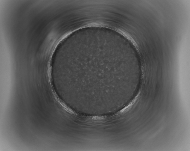 X0000116441029200912151236