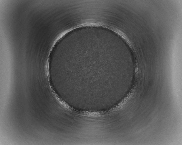 X0000116441030200912151236