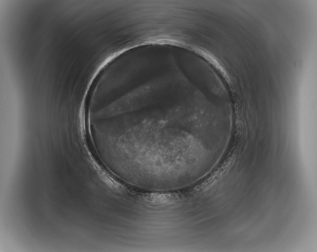 X0000116441032200912151236