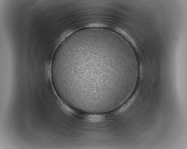 X0000116441033200912151236